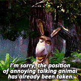donkey annoying.gif