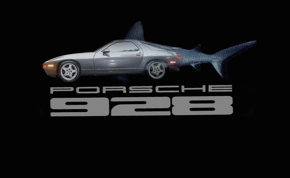 928shark.jpg