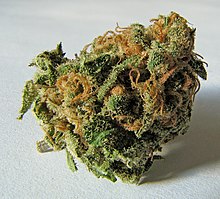 220px-Macro_cannabis_bud.jpg