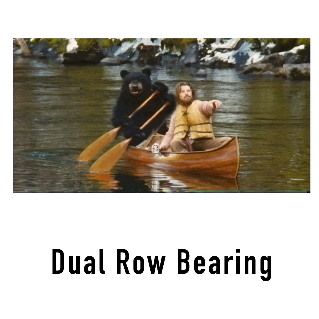 dual_row_bearing.jpg
