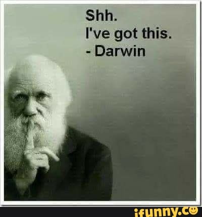 darwin.jpeg