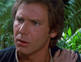 confused han.gif