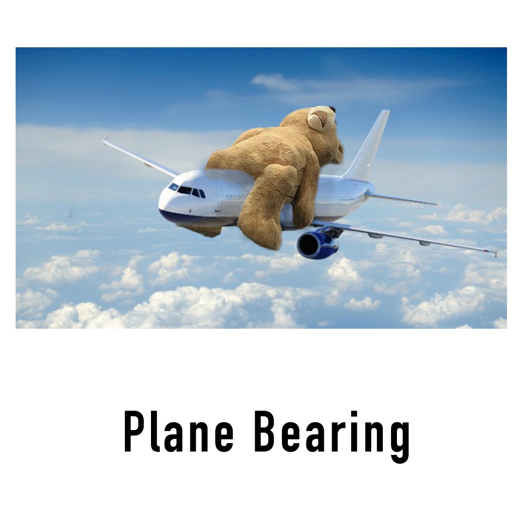 planebearing2.jpg
